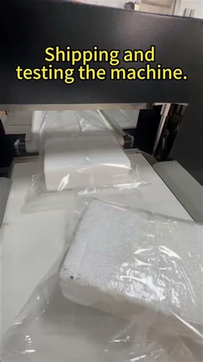 Test Run Demo | High-Speed Flow Wrapping Machine#Factoryphotos