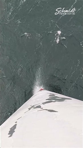 AIDAprima: Spuren des Sturms