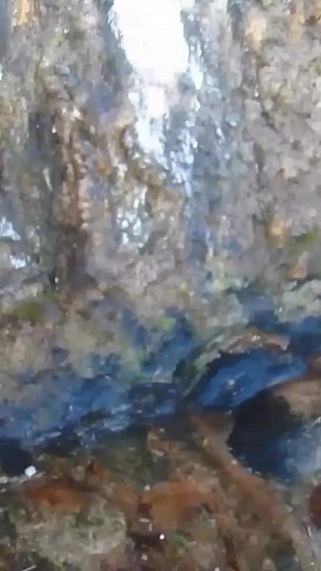 Tomeng Falls in Buxton Village: Majestic Mountain Top Waterfall