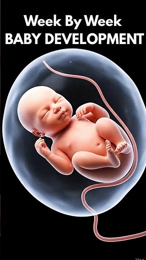 Week by Week Baby Development in the Womb 👶 | Amazing Fetal Growth Journey