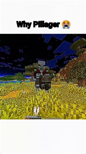 Why Pillagers Hate Me 😱🔥 #shorts