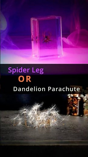 What Is It Under The Microscope?