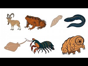 Every Animal with Superpower Explained in 9 minutes