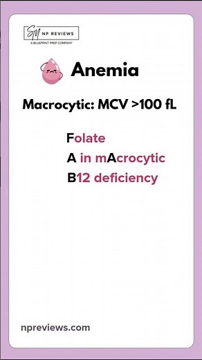 NP Exam Prep: Anemia #nursepractitioner