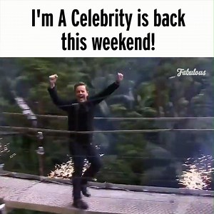 And it's on every night 🙌🐍🦗 | Fabulous