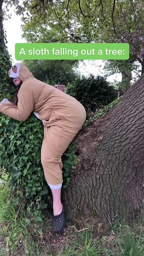 My neighbour witnessed this 😱😱#fyp #fypシ #sloth #davidattenborough #comedy