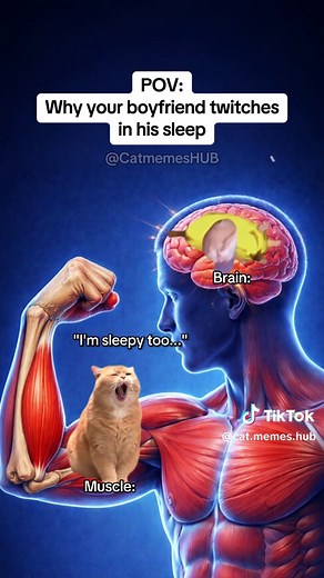 Why Your Boyfriend Twitches in His Sleep