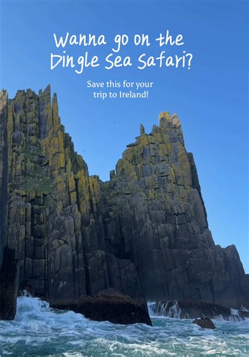 The most AMAZING adventure at sea in Dingle, Ireland! 🦭🇮🇪 @DingleSeaSafari was hands down our favorite experience from the entire trip. Not only did we see dolphins and seals, but we got incredibly lucky with the weather offering us some blue skies and amazing views 🌊 Definitely a must when planning your trip to Ireland! #ireland #travel #adventure #explore #nature
