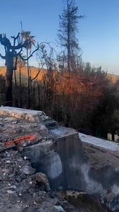 At least the hummingbirds will still have a home here 😭🫡❤️ #nogoinghome 4/25 | Spencer Pratt