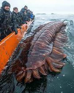 Minecraft Club on Reels