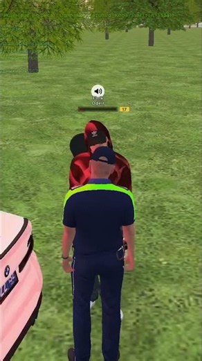 I Took Away a Police Officer's License on Amazing RP Sky