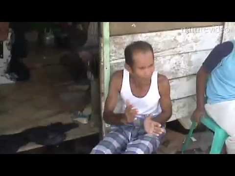 Ancient tsunamis: by Nature Video