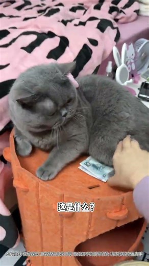 Unleash Creativity: Infinite Solutions, Zero Issues