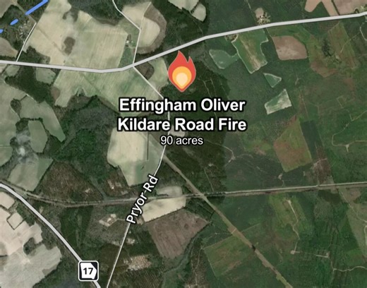 Wildfire breaks out in Effingham County