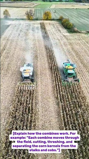 Corn Harvesting Showdown: Two Combines Tackle a Field Together