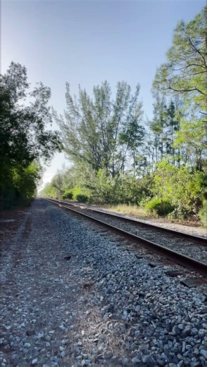 Amtrak Silver Meteor Charging Northbound