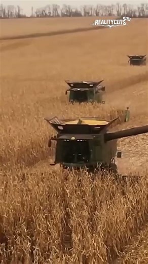 Japan Imports 30K Tons US Crops Daily