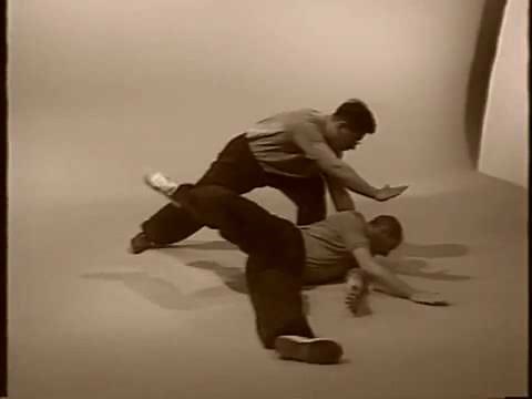 Luo Dexiu - Gao style Baguazhang, Practice and Application