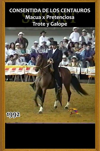 FENOTIPO, CADENCIA Y SUAVIDAD 1992 #troteygalope #yeguas #ecuestre