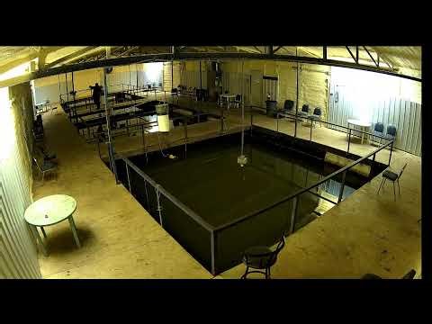 Belle Starr Marina Live