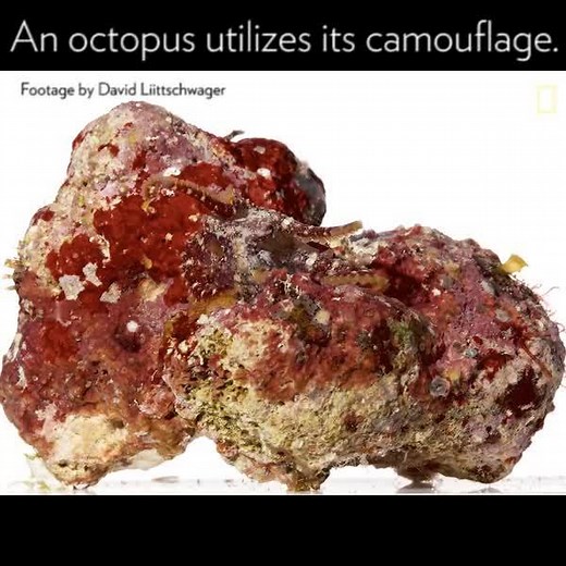 399K views · 807 shares | Find out why scientists say that of all the...