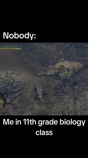 Marine Biology Fun Facts and Insights