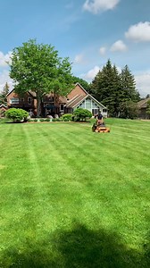 The Ultimate Lawn Care Routine for Every Season