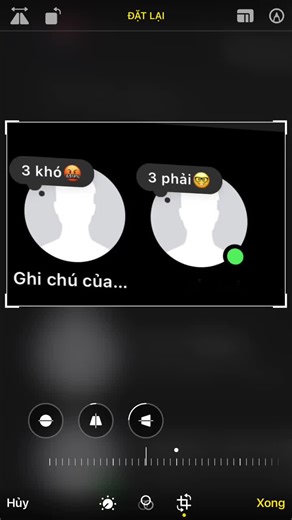 Câu Chuyện Cuộc Đời: Đâm Lao Theo Lao