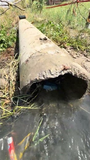 Go 3and go4 testing job bass