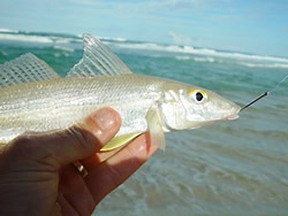 Types of Fishing - Inshore