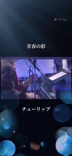 #青春の影#チューリップ