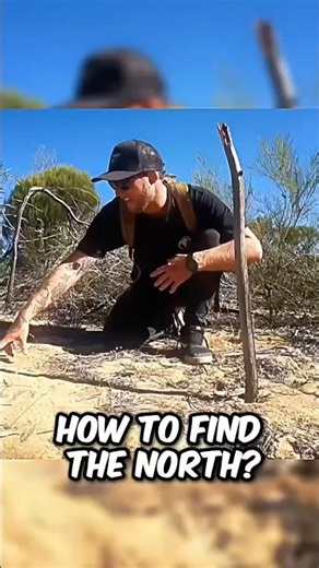How To Find The North?🧭