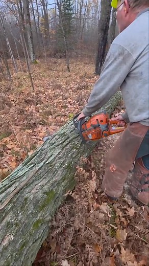 Logger Mack on Reels