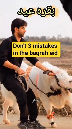😱 don't 3 mistakes in the baqrah eid 🤔 #baqrah #eid #shorts