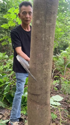 Hand-forged and shaped wood-chopping knife, won't chip or dull. #logging