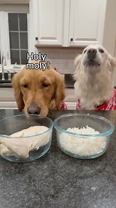 105K views · 3K reactions | Making homemade holiday chicken rice...
