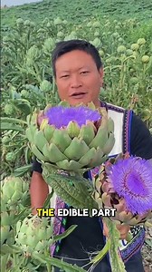 The Reason Why People Eat This Flower #farming #agriculture #statisfying