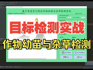基于YOLOv8深度学习的农作物幼苗与杂草检测系统【python源码+Pyqt5界面+数据集+训练代码】深度学习实战、目标检测
