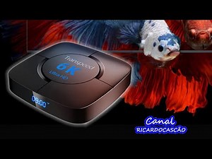 TV Box Transpeed system presentation_ByRicardocascao