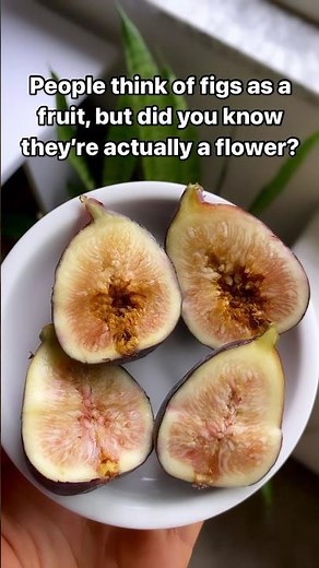 Are figs good for you?