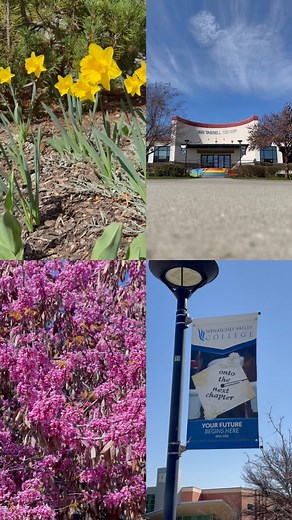 SPRING// The sun keeps peaking its head out and the temperature is starting to rise! Campus is gorgeous this time of the year and it’s so much fun to see everyone out and about! ☀️🌸 | Wenatchee Valley College