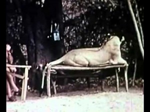 Born Free - The 50th Anniversary