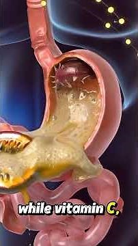 Your Body After Eating Passion Fruit – 3D Digestion Animation
