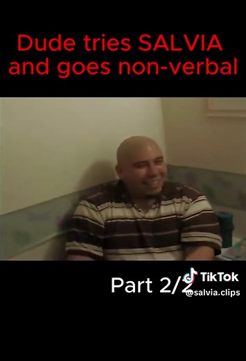 Experiencing Salvia: A Non-Verbal Journey