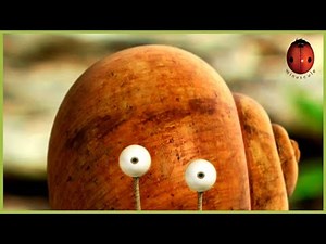 A Snail’s Dream | Minuscule 🍃 80' Compilation