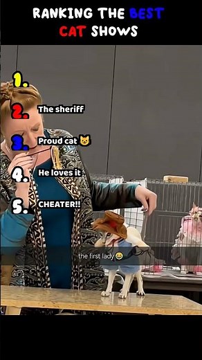 Ranking the best cat shows
