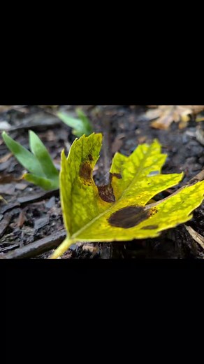 Jeff Hudson on Reels