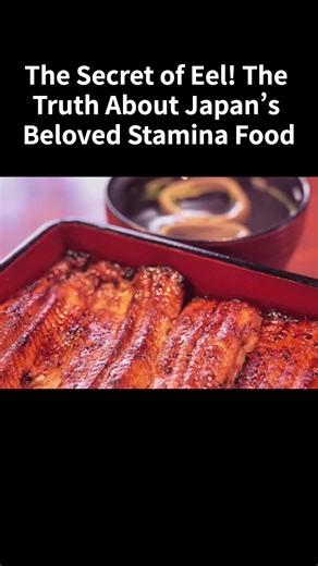 Eel: Japan's Beloved Stamina Food Secrets