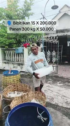 Drama Status CEO: Ketakutan dan Harapan Petani Muda