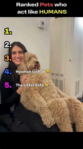 Ranked PETS acting like HUMANS 🐱🐶